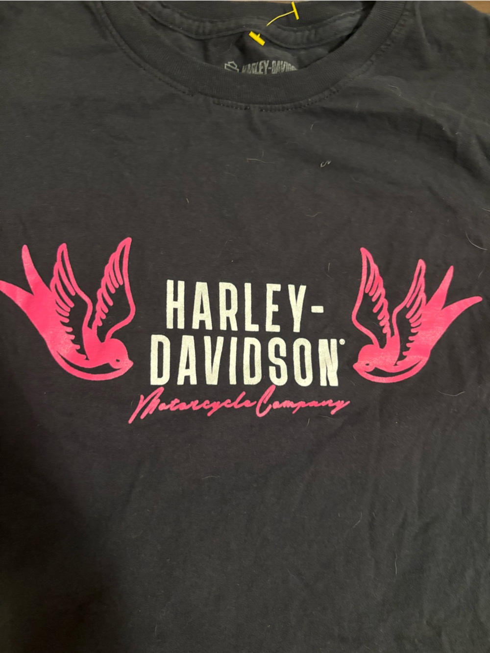 Harley-Davidson woman’s Black and Pink Logo Tee